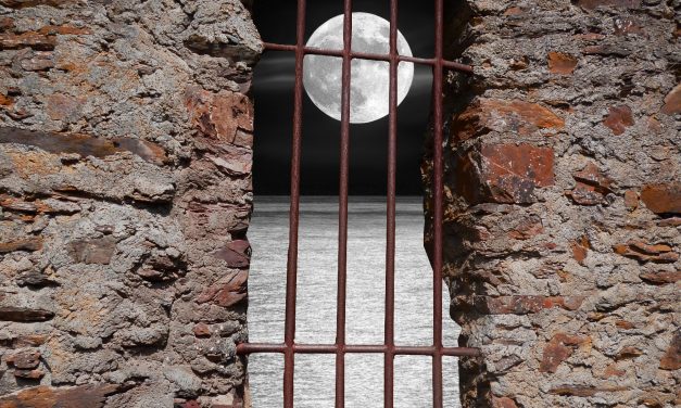 Weekend: Strange little life