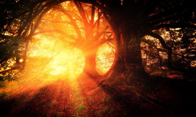 Weekend: Rejoicing Comes In The Morning