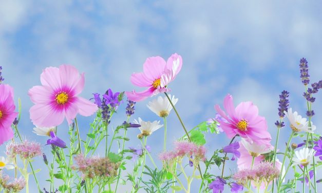 War, What Is It Good For? (Grace Edition)