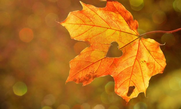 Thanks. Thanks a lot.